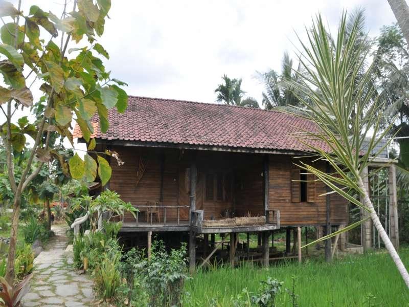 The Pikas Resort Wonosobo Esterno foto
